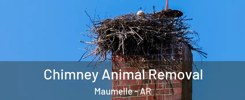  Chimney Animal Removal Maumelle - AR