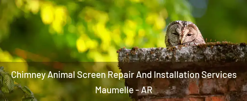  Chimney Animal Screen Repair And Installation Services Maumelle - AR