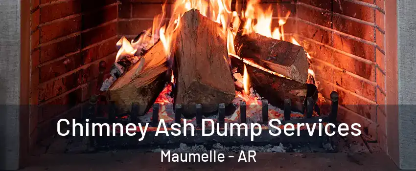  Chimney Ash Dump Services Maumelle - AR