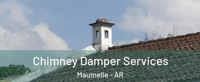  Chimney Damper Services Maumelle - AR
